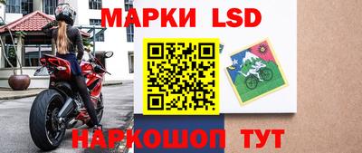 СК Новозыбков