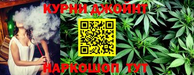 СК Новозыбков